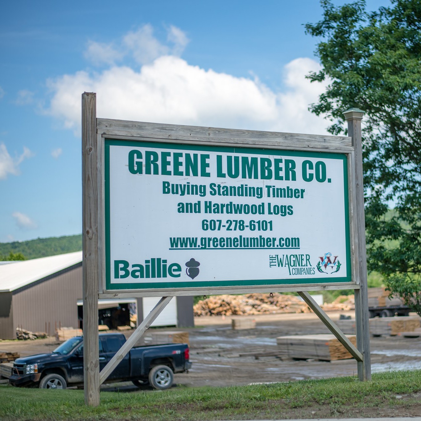 Green Lumber